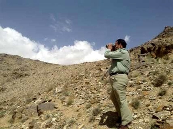 محیط بان پارک ملی گلستان در درگیری با شکارچیان به شهادت رسید