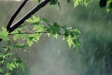 بارندگی در ارومیه به 38 میلیمتر در 12 ساعت گذشته رسید