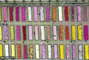 منتخب تصاویر امروز جهان- 29 مهر