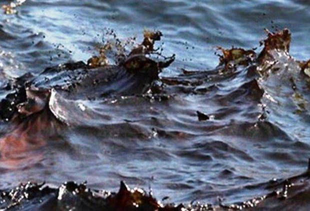 ساحل منطقه مجیدیه بندرماهشهر به مواد نفتی آغشته شد
