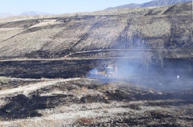 یک هکتار از مراتع قزوین در آتش سوخت