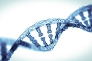 امکان درمان بیماری های خطرناک با دستکاری ژن