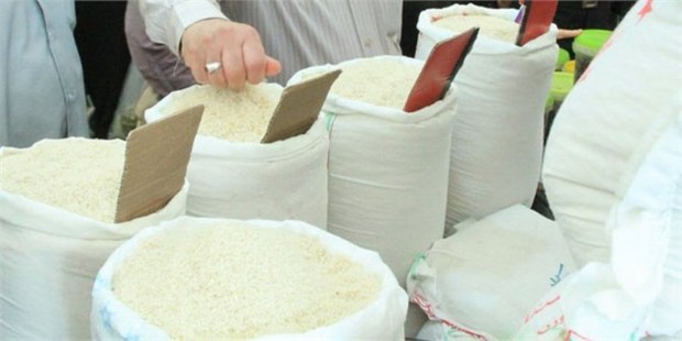 برنج کهنه مازندران برای خریداران دل آزار شد