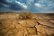 سطح ایستابی آبخوان‌های بوشهر ۲۰ سانتیمتر کاهش‌یافت