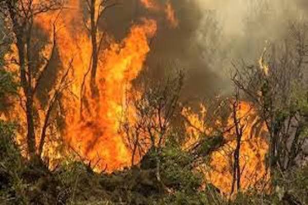 رشد 500 هکتار آتش سوزی در اراضی ملی قزوین