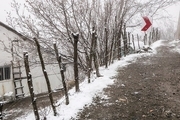  هشدار وقوع سیلاب‌ در تهران/ پیش‌بینی کولاک برف در ۱۵ استان
