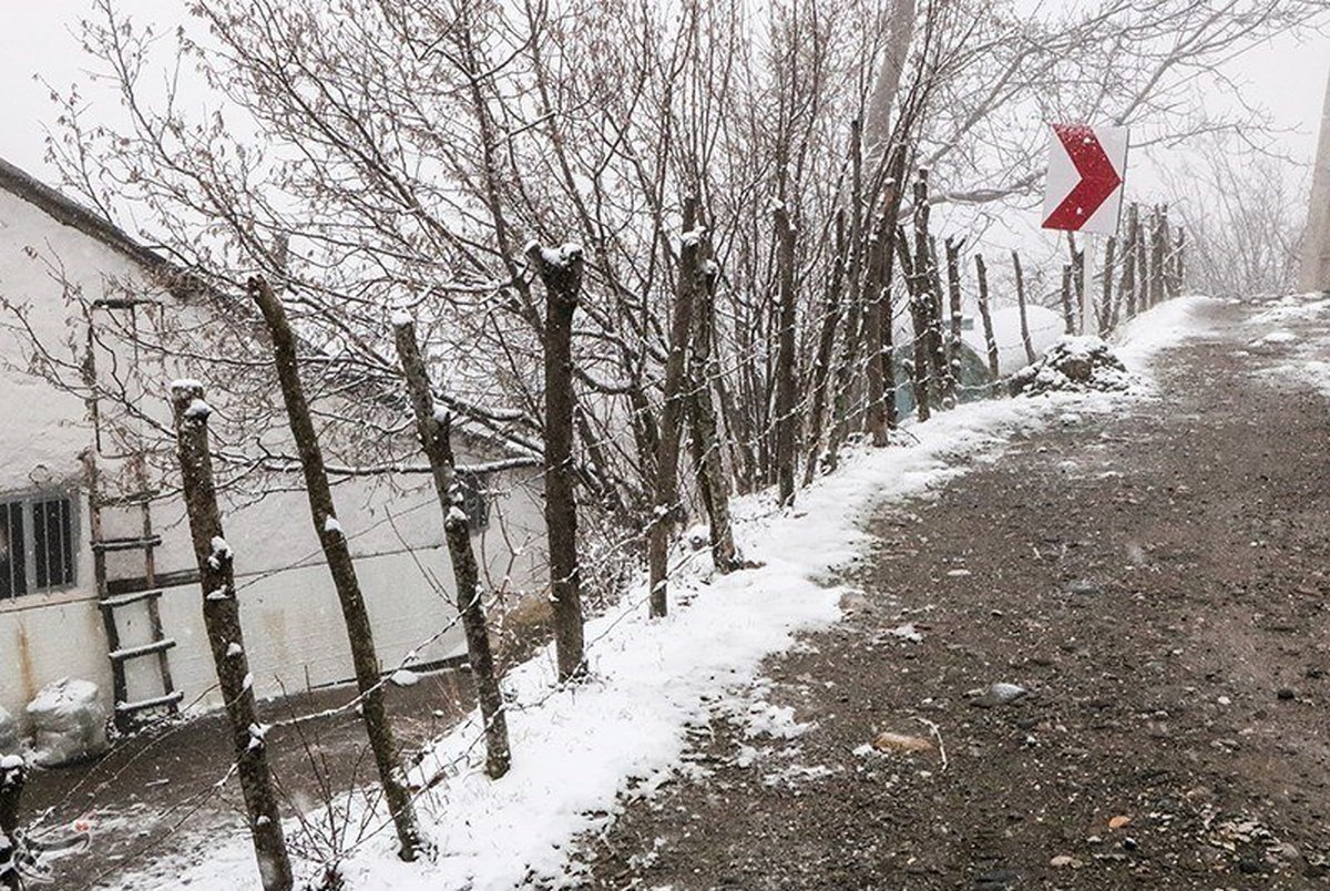 بارش برف در استان گیلان+ تصاویر