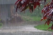باران 15 شهرستان خراسان رضوی را فرا گرفت