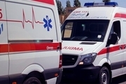 ۲ دستگاه آمبولانس اورژانس کردستان به سیستم NICU تجهیز شد
