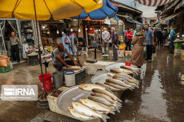 بازار رشت در قرق ماهیان پرورشی