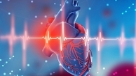 تشخیص نارسایی قلبی با یک اپلیکیشن
