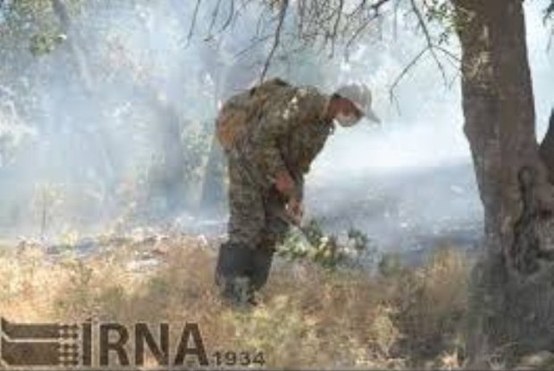 ارتفاعات جنگلی کردکوی در گلستان آتش گرفت