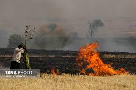 آتش‌سوزی اراضی و باغات گرمی 5 میلیارد تومان خسارت به همراه داشت