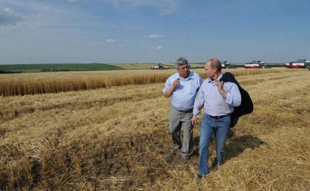 افزایش بی سابقه قیمت گندم در جهان در پی حمله روسیه به اوکراین