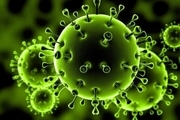 آیا ویروس کرونا را آمریکا و چین تولید کردند؟