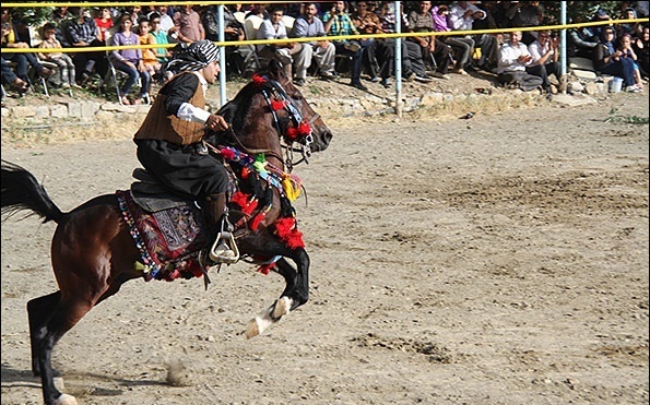 برترین‌های اولین جشنواره ملی اسب کرد در سنندج معرفی شدند