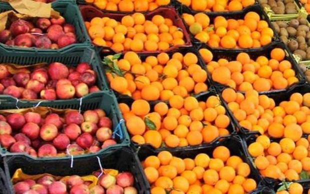توزیع 2900 تن پرتقال و سیب شب عید توسط تعاون روستایی استان البرز