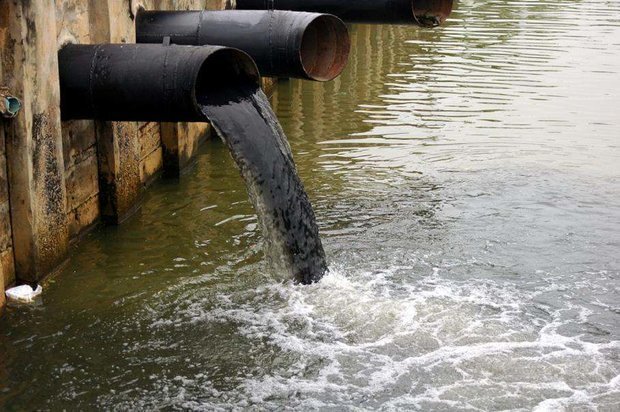 شکایت محیط زیست بوشهر از یک شرکت نفتی برای آلوده کردن دریا