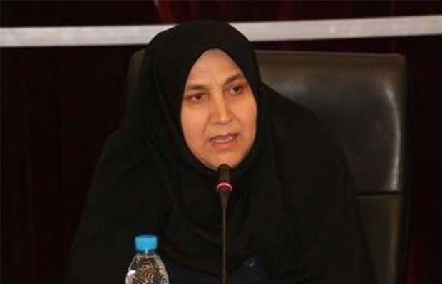 دفاتر تسهیل گری بازوی توانمند دولت هستند