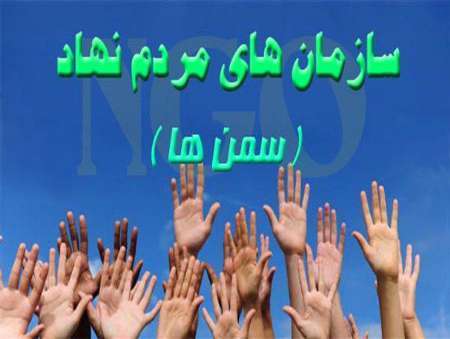 سازمان های مردم نهاد فارس:از کاندیدای خاصی در انتخابات شورای شهر و روستا حمایت نکرده ایم