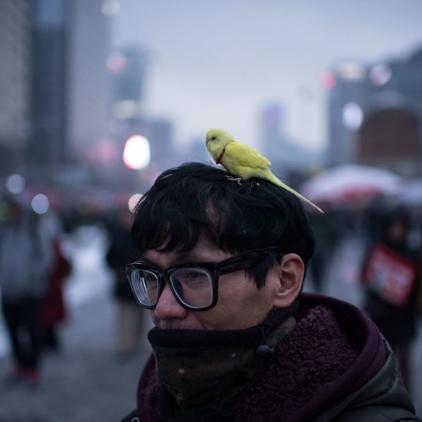 عکس/ اعتراض با پرنده خانگی