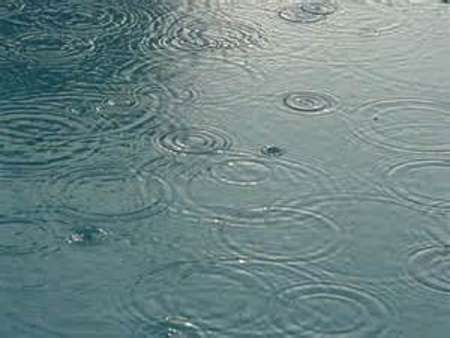 کاهش 50 درصدی بارش باران در سال زراعی امسال در قصرشیرین