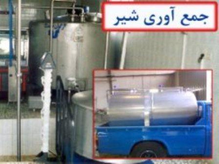 ایستگاههای جمع آوری شیر جنوب کرمان به اتحادیه دامداران واگذار می شود