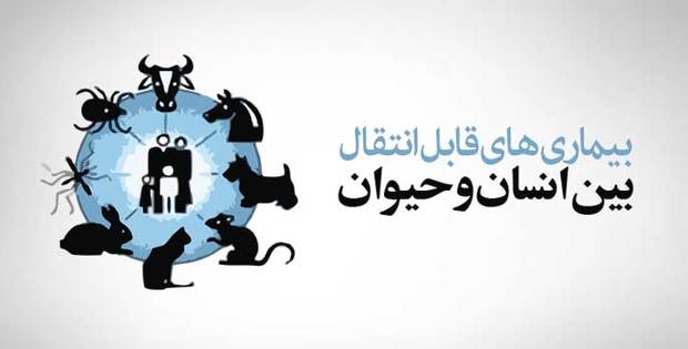 مهمترین بیماری‌های مشترک بین انسان و حیوان در خوزستان کدامند؟