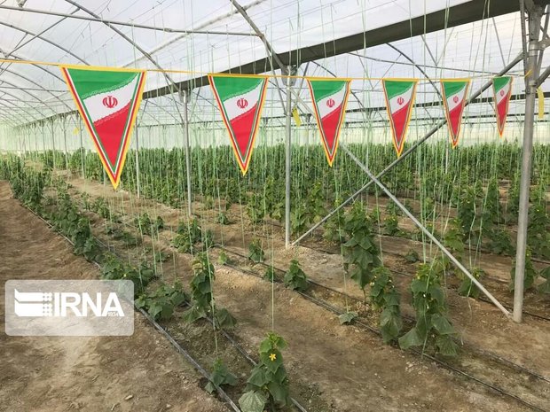 ۷۱ پروژه کشاورزی در خوزستان آماده بهره‌برداری شد