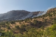 آتش سوزی گسترده در جنگل های بلوط چنگری لرستان + تصاویر