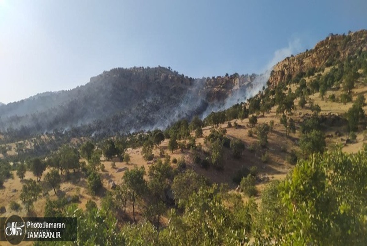 آتش سوزی گسترده در جنگل های بلوط چنگری لرستان + تصاویر