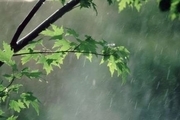 خوزستان اولین هفته فصل بهار بارانی است