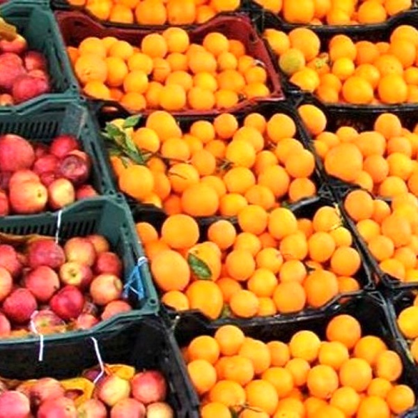 توزیع 1100 تن سیب وپرتقال برای تنظیم بازار میوه شب عید   260 تن ؛ سهمیه روزانه گوشت مرغ استان