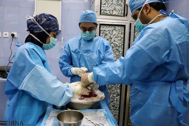 اعضای بدن بانوی مرگ مغزی در مشهد جان ۶ نفر را نجات داد