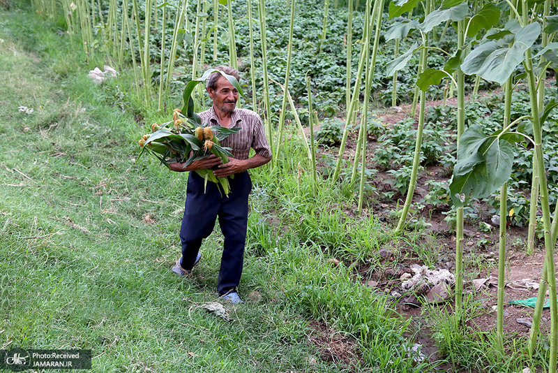 منتخب تصاویر امروز جهان- 24 شهریور