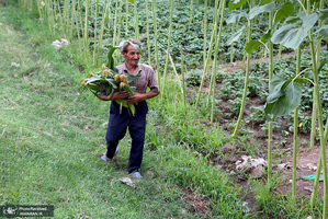 منتخب تصاویر امروز جهان- 24 شهریور