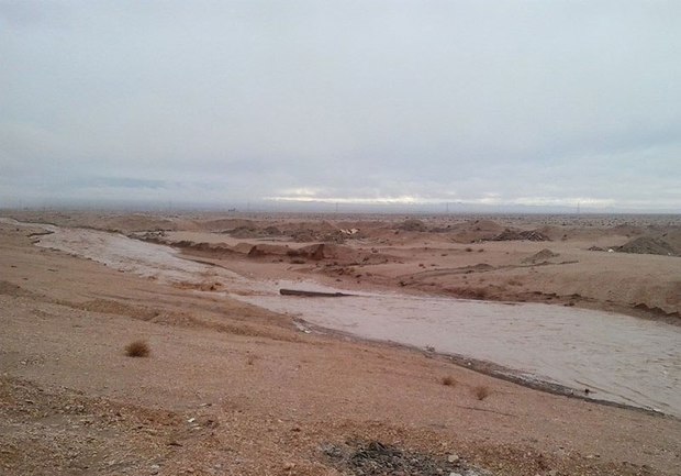 بارندگی در خراسان جنوبی منجر به روان آب شد