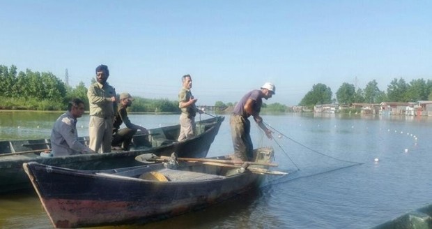 قایق های پارویی و ادوات شکار غیرمجاز در لاهیجان کشف شد