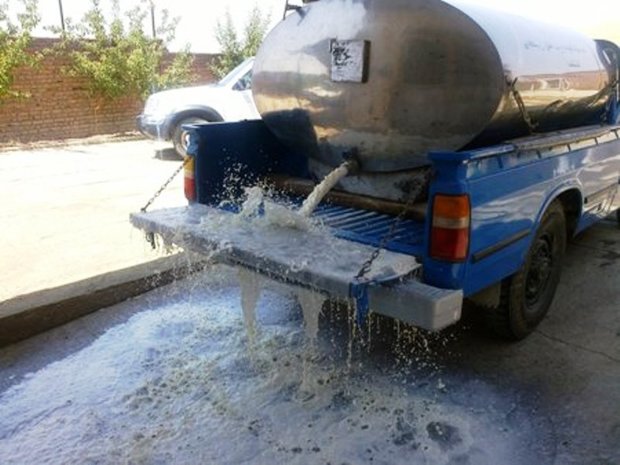 پنج خودرو غیرمجاز جمع آوری شیر در مهاباد توقیف شد