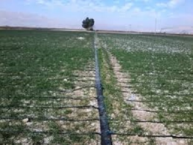 اختصاص1190میلیارد ریال به طرح های آب و خاک جهادوکشاورزی در خراسان شمالی
