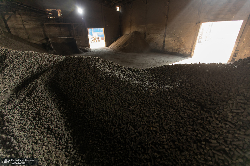 شوق شیرین تولید شکر / کارگران تولید قند و شکر