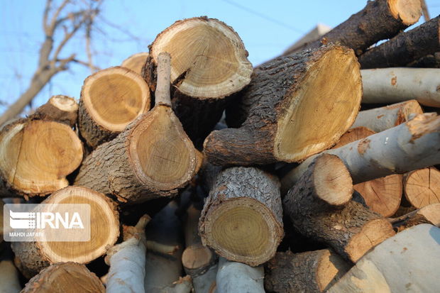 سه تن چوب قاچاق در گچساران کشف شد
