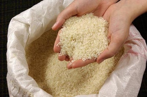 820 تن برنج دولتی در مازندران توزیع می شود