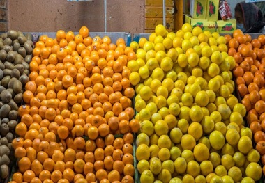 آغاز توزیع میوه‌های شب عید از امروز 
