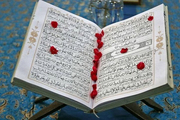 برگزاری فعالیت‌های قرآنی در بقاع متبرکه قم به صورت مجازی
