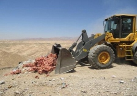 250 لاشه مرغ در روستای ضامنجان اراک معدوم شد