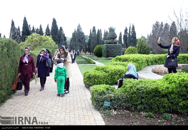 کاشت درختچه‌های زینتی در پارک‌های همدان