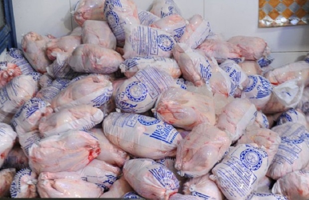 توزیع 12 تن مرغ منجمد در گالیکش آغاز شد