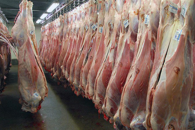 توزیع 10 تن گوشت گرم در کردستان آغاز شد