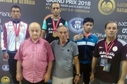 پایان کار کشتی‌گیران ایران با کسب ۲ مدال طلا، ۳ نقره و ۷ برنز 